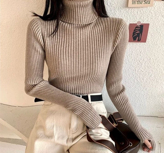 SS turtleneck sweater